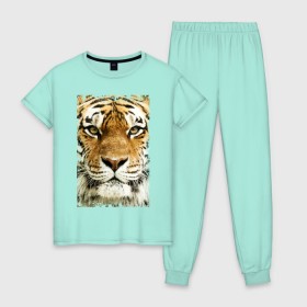Женская пижама хлопок с принтом Тигр (retro style) в Тюмени, 100% хлопок | брюки и футболка прямого кроя, без карманов, на брюках мягкая резинка на поясе и по низу штанин | Тематика изображения на принте: tiger | дикая кошка | тигр | хищник
