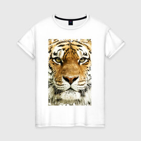 Женская футболка хлопок с принтом Тигр (retro style) в Тюмени, 100% хлопок | прямой крой, круглый вырез горловины, длина до линии бедер, слегка спущенное плечо | Тематика изображения на принте: tiger | дикая кошка | тигр | хищник