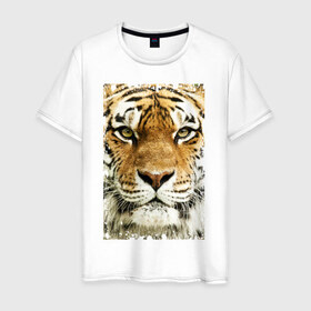 Мужская футболка хлопок с принтом Тигр (retro style) в Тюмени, 100% хлопок | прямой крой, круглый вырез горловины, длина до линии бедер, слегка спущенное плечо. | Тематика изображения на принте: tiger | дикая кошка | тигр | хищник