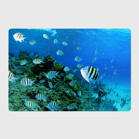 Магнитный плакат 3Х2 с принтом Подводный мир в Тюмени, Полимерный материал с магнитным слоем | 6 деталей размером 9*9 см | Тематика изображения на принте: дно | океан | природа | рыбки