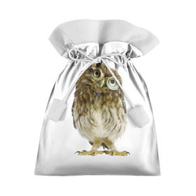 Подарочный 3D мешок с принтом Сова в Тюмени, 100% полиэстер | Размер: 29*39 см | прикольные картинки | птица | сова | ум