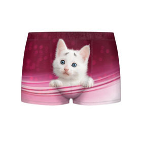 Мужские трусы 3D с принтом Белый котёнок в Тюмени, 50% хлопок, 50% полиэстер | классическая посадка, на поясе мягкая тканевая резинка | киска | кот | котёнок | кошка | прикольные картинки
