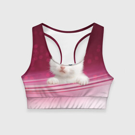 Женский спортивный топ 3D с принтом Белый котёнок в Тюмени, 82% полиэстер, 18% спандекс Ткань безопасна для здоровья, позволяет коже дышать, не мнется и не растягивается |  | киска | кот | котёнок | кошка | прикольные картинки