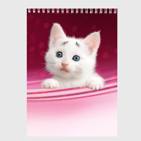 Скетчбук с принтом Белый котёнок в Тюмени, 100% бумага
 | 48 листов, плотность листов — 100 г/м2, плотность картонной обложки — 250 г/м2. Листы скреплены сверху удобной пружинной спиралью | киска | кот | котёнок | кошка | прикольные картинки
