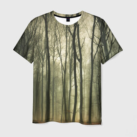 Мужская футболка 3D с принтом Чарующий лес в Тюмени, 100% полиэфир | прямой крой, круглый вырез горловины, длина до линии бедер | Тематика изображения на принте: красиво | лес | природа | фото
