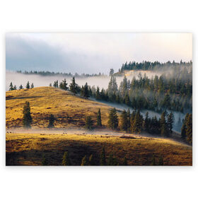 Поздравительная открытка с принтом Туман в горах в Тюмени, 100% бумага | плотность бумаги 280 г/м2, матовая, на обратной стороне линовка и место для марки
 | Тематика изображения на принте: пейзаж