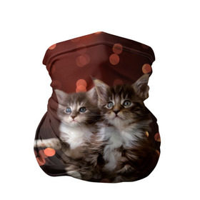 Бандана-труба 3D с принтом Котята в Тюмени, 100% полиэстер, ткань с особыми свойствами — Activecool | плотность 150‒180 г/м2; хорошо тянется, но сохраняет форму | киска | кот | котёнок | кошка | прикольные картинки