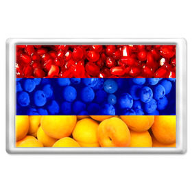Магнит 45*70 с принтом Флаг Армении в Тюмени, Пластик | Размер: 78*52 мм; Размер печати: 70*45 | Тематика изображения на принте: армения | гранат | персик | слива | страны | флаг армении | фрукты