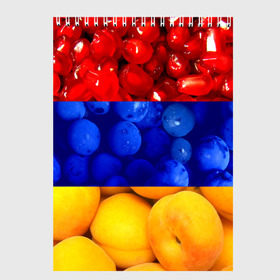 Скетчбук с принтом Флаг Армении в Тюмени, 100% бумага
 | 48 листов, плотность листов — 100 г/м2, плотность картонной обложки — 250 г/м2. Листы скреплены сверху удобной пружинной спиралью | Тематика изображения на принте: армения | гранат | персик | слива | страны | флаг армении | фрукты