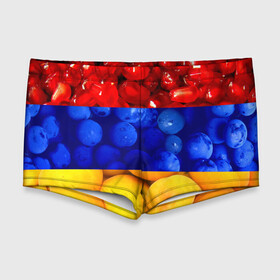 Мужские купальные плавки 3D с принтом Флаг Армении в Тюмени, Полиэстер 85%, Спандекс 15% |  | Тематика изображения на принте: армения | гранат | персик | слива | страны | флаг армении | фрукты