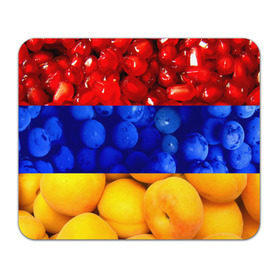 Коврик прямоугольный с принтом Флаг Армении в Тюмени, натуральный каучук | размер 230 х 185 мм; запечатка лицевой стороны | Тематика изображения на принте: армения | гранат | персик | слива | страны | флаг армении | фрукты