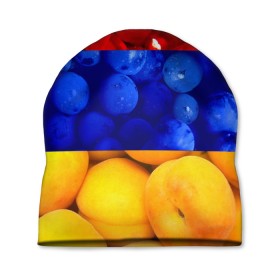 Шапка 3D с принтом Флаг Армении в Тюмени, 100% полиэстер | универсальный размер, печать по всей поверхности изделия | армения | гранат | персик | слива | страны | флаг армении | фрукты