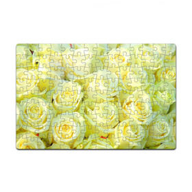 Пазл магнитный 126 элементов с принтом Белые розы в Тюмени, полимерный материал с магнитным слоем | 126 деталей, размер изделия —  180*270 мм | лепесток | природа | роза | цветок | яркая