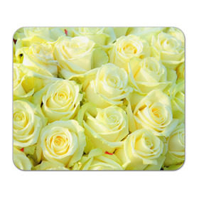 Коврик прямоугольный с принтом Белые розы в Тюмени, натуральный каучук | размер 230 х 185 мм; запечатка лицевой стороны | лепесток | природа | роза | цветок | яркая