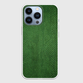 Чехол для iPhone 13 Pro с принтом Snake в Тюмени,  |  | Тематика изображения на принте: зеленый | змея | кожа | текстура