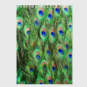 Скетчбук с принтом Life is beautiful в Тюмени, 100% бумага
 | 48 листов, плотность листов — 100 г/м2, плотность картонной обложки — 250 г/м2. Листы скреплены сверху удобной пружинной спиралью | Тематика изображения на принте: павлин | паттерн | перья | текстура