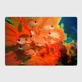 Магнитный плакат 3Х2 с принтом Рыбки в Тюмени, Полимерный материал с магнитным слоем | 6 деталей размером 9*9 см | Тематика изображения на принте: 
