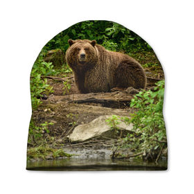 Шапка 3D с принтом Бурый медведь в Тюмени, 100% полиэстер | универсальный размер, печать по всей поверхности изделия | 