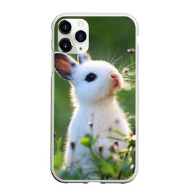 Чехол для iPhone 11 Pro матовый с принтом Кролик в Тюмени, Силикон |  | Тематика изображения на принте: animal | baby | cute | flowers | fluffy | hare | lawn | little | meadow | rabbit | животное | заяц | кролик | луг | лужайка | маленький | малыш | милый | пушистый | цветы