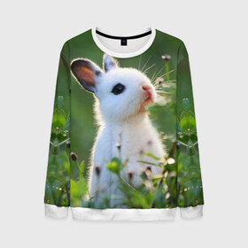 Мужской свитшот 3D с принтом Кролик в Тюмени, 100% полиэстер с мягким внутренним слоем | круглый вырез горловины, мягкая резинка на манжетах и поясе, свободная посадка по фигуре | animal | baby | cute | flowers | fluffy | hare | lawn | little | meadow | rabbit | животное | заяц | кролик | луг | лужайка | маленький | малыш | милый | пушистый | цветы