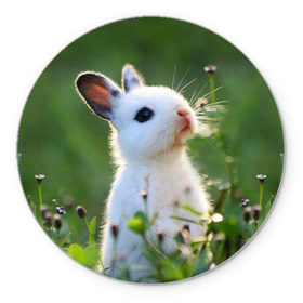 Коврик круглый с принтом Кролик в Тюмени, резина и полиэстер | круглая форма, изображение наносится на всю лицевую часть | Тематика изображения на принте: animal | baby | cute | flowers | fluffy | hare | lawn | little | meadow | rabbit | животное | заяц | кролик | луг | лужайка | маленький | малыш | милый | пушистый | цветы