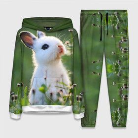 Женский костюм 3D (с толстовкой) с принтом Кролик в Тюмени,  |  | animal | baby | cute | flowers | fluffy | hare | lawn | little | meadow | rabbit | животное | заяц | кролик | луг | лужайка | маленький | малыш | милый | пушистый | цветы