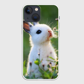 Чехол для iPhone 13 mini с принтом Кролик в Тюмени,  |  | animal | baby | cute | flowers | fluffy | hare | lawn | little | meadow | rabbit | животное | заяц | кролик | луг | лужайка | маленький | малыш | милый | пушистый | цветы