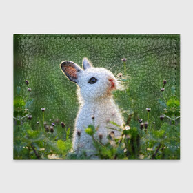 Обложка для студенческого билета с принтом Кролик в Тюмени, натуральная кожа | Размер: 11*8 см; Печать на всей внешней стороне | Тематика изображения на принте: animal | baby | cute | flowers | fluffy | hare | lawn | little | meadow | rabbit | животное | заяц | кролик | луг | лужайка | маленький | малыш | милый | пушистый | цветы