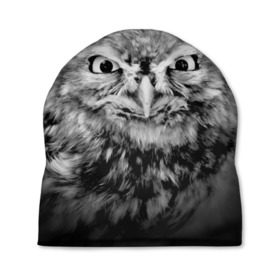 Шапка 3D с принтом Сова в Тюмени, 100% полиэстер | универсальный размер, печать по всей поверхности изделия | beak | bird | eyes | fear | hypnosis | look | night | owl | predator | взгляд | гипноз | глаза | клюв | ночь | птица | сова | хищник