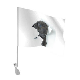 Флаг для автомобиля с принтом щенок Кане Корсо в Тюмени, 100% полиэстер | Размер: 30*21 см | animal | black | break | breed | dog | kid | paper | puppy | tear | torn | дог | животное | малыш | порода | прорыв | разрыв | рваная | собака | черный | щенок