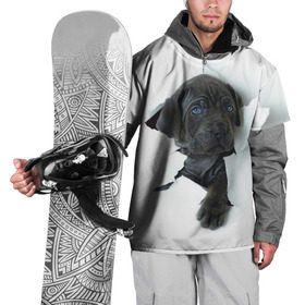 Накидка на куртку 3D с принтом щенок Кане Корсо в Тюмени, 100% полиэстер |  | animal | black | break | breed | dog | kid | paper | puppy | tear | torn | дог | животное | малыш | порода | прорыв | разрыв | рваная | собака | черный | щенок