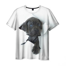 Мужская футболка 3D с принтом щенок Кане Корсо в Тюмени, 100% полиэфир | прямой крой, круглый вырез горловины, длина до линии бедер | animal | black | break | breed | dog | kid | paper | puppy | tear | torn | дог | животное | малыш | порода | прорыв | разрыв | рваная | собака | черный | щенок