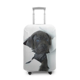 Чехол для чемодана 3D с принтом щенок Кане Корсо в Тюмени, 86% полиэфир, 14% спандекс | двустороннее нанесение принта, прорези для ручек и колес | animal | black | break | breed | dog | kid | paper | puppy | tear | torn | дог | животное | малыш | порода | прорыв | разрыв | рваная | собака | черный | щенок