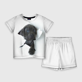 Детский костюм с шортами 3D с принтом Дог в Тюмени,  |  | animal | black | break | breed | dog | kid | paper | puppy | tear | torn | дог | животное | малыш | порода | прорыв | разрыв | рваная | собака | черный | щенок