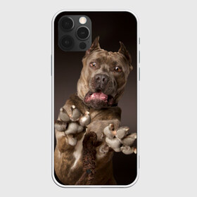 Чехол для iPhone 12 Pro Max с принтом Кане корсо в Тюмени, Силикон |  | Тематика изображения на принте: animal | breed | brown | dog | fear | jump | legs | throw | бросок | дог | животное | испуг | коричневый | лапы | порода | прыжок | собака