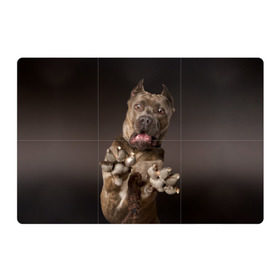Магнитный плакат 3Х2 с принтом Кане корсо в Тюмени, Полимерный материал с магнитным слоем | 6 деталей размером 9*9 см | Тематика изображения на принте: animal | breed | brown | dog | fear | jump | legs | throw | бросок | дог | животное | испуг | коричневый | лапы | порода | прыжок | собака