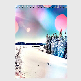 Скетчбук с принтом Тропа в Тюмени, 100% бумага
 | 48 листов, плотность листов — 100 г/м2, плотность картонной обложки — 250 г/м2. Листы скреплены сверху удобной пружинной спиралью | Тематика изображения на принте: зима | природа | снег | снежный | солнце