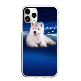 Чехол для iPhone 11 Pro матовый с принтом Щенок хаски в Тюмени, Силикон |  | кутёнок | прикольные картинки | собака | хаска | щенок