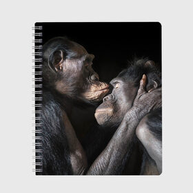 Тетрадь с принтом Шимпанзе в Тюмени, 100% бумага | 48 листов, плотность листов — 60 г/м2, плотность картонной обложки — 250 г/м2. Листы скреплены сбоку удобной пружинной спиралью. Уголки страниц и обложки скругленные. Цвет линий — светло-серый
 | Тематика изображения на принте: chimps | family | feelings | kiss | monkeys | primates | любовь | обезьяны | поцелуй | приматы | семья | чувства | шимпанзе