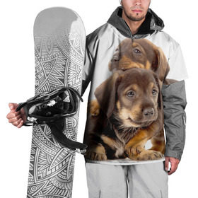 Накидка на куртку 3D с принтом Таксы в Тюмени, 100% полиэстер |  | brothers | dachshunds | kids | pets | puppies | small dogs | братья | животные | маленькие | малыши | собаки | таксы | щенки