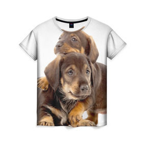 Женская футболка 3D с принтом Таксы в Тюмени, 100% полиэфир ( синтетическое хлопкоподобное полотно) | прямой крой, круглый вырез горловины, длина до линии бедер | brothers | dachshunds | kids | pets | puppies | small dogs | братья | животные | маленькие | малыши | собаки | таксы | щенки