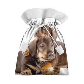 Подарочный 3D мешок с принтом Таксы в Тюмени, 100% полиэстер | Размер: 29*39 см | brothers | dachshunds | kids | pets | puppies | small dogs | братья | животные | маленькие | малыши | собаки | таксы | щенки