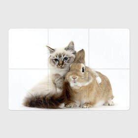 Магнитный плакат 3Х2 с принтом Кот и кролик в Тюмени, Полимерный материал с магнитным слоем | 6 деталей размером 9*9 см | Тематика изображения на принте: cat | cute | fluffy | friends | friendship | hug | kitty | rabbit | toddlers | дружба | друзья | кот | котенок | кролик | любовь | малыши | милые | обнимаются | пушистые