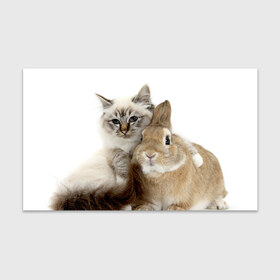 Бумага для упаковки 3D с принтом Кот и кролик в Тюмени, пластик и полированная сталь | круглая форма, металлическое крепление в виде кольца | Тематика изображения на принте: cat | cute | fluffy | friends | friendship | hug | kitty | rabbit | toddlers | дружба | друзья | кот | котенок | кролик | любовь | малыши | милые | обнимаются | пушистые