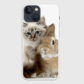 Чехол для iPhone 13 mini с принтом Кот и кролик в Тюмени,  |  | cat | cute | fluffy | friends | friendship | hug | kitty | rabbit | toddlers | дружба | друзья | кот | котенок | кролик | любовь | малыши | милые | обнимаются | пушистые