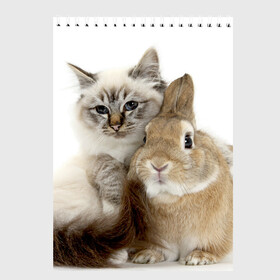 Скетчбук с принтом Кот и кролик в Тюмени, 100% бумага
 | 48 листов, плотность листов — 100 г/м2, плотность картонной обложки — 250 г/м2. Листы скреплены сверху удобной пружинной спиралью | cat | cute | fluffy | friends | friendship | hug | kitty | rabbit | toddlers | дружба | друзья | кот | котенок | кролик | любовь | малыши | милые | обнимаются | пушистые