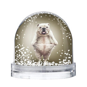 Снежный шар с принтом Бульдог английский в Тюмени, Пластик | Изображение внутри шара печатается на глянцевой фотобумаге с двух сторон | animals | breed | dog | english bulldog | funny | joke | pants | surrealism | бульдог английский | животное | порода | прикол | собака | сюрреализм | шутка