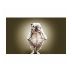 Бумага для упаковки 3D с принтом Бульдог английский в Тюмени, пластик и полированная сталь | круглая форма, металлическое крепление в виде кольца | Тематика изображения на принте: animals | breed | dog | english bulldog | funny | joke | pants | surrealism | бульдог английский | животное | порода | прикол | собака | сюрреализм | шутка
