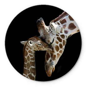 Коврик круглый с принтом Жирафы в Тюмени, резина и полиэстер | круглая форма, изображение наносится на всю лицевую часть | Тематика изображения на принте: africa | animals | baby | child | family | giraffes | head | mother | африка | головы | животные | жирафы | любовь | малыш | мама | ребенок | семья