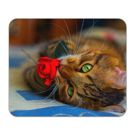 Коврик прямоугольный с принтом Кошечка в Тюмени, натуральный каучук | размер 230 х 185 мм; запечатка лицевой стороны | животные | кот | кошка | милая